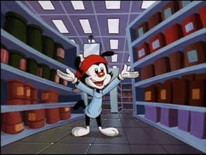 Diez cortometrajes sobre Wakko Warner