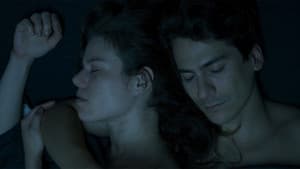 Colibrí — foto 2