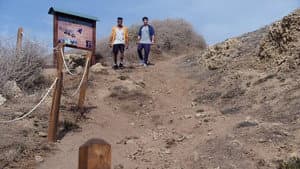Episodio 8