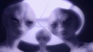 The Outer Limits — foto 6