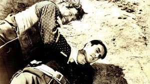 The Fiddlin' Buckaroo — foto 1