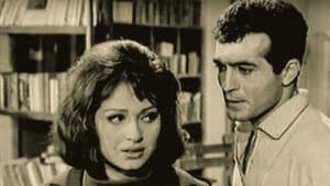 Aşk Yarışı — foto 3