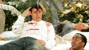 Joey — foto 5