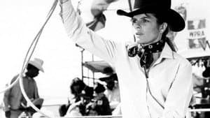 Rodeo Girl — foto 5