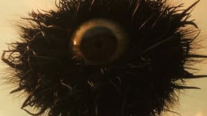 惡の華 — foto 5