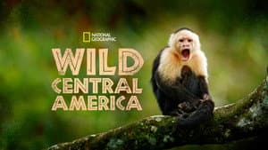 Wild Centroamérica — foto 5