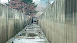 생츄어리 — foto 1