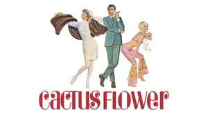 Flor de cactus — foto 7