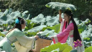 清风明月佳人 — foto 1
