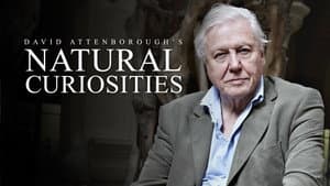 David Attenborough's Natural Curiosities — foto 1