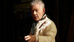 Hamlet — foto 2