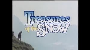 Treasures of the Snow — foto 1