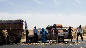 Un transport en commun — foto 1