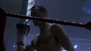 The Boxer — foto 3