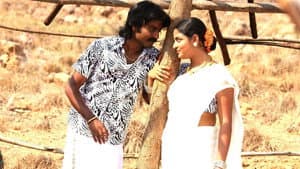 பஞ்சுமிட்டாய் — foto 4