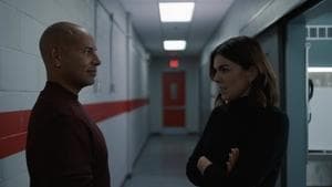 Episodio 7
