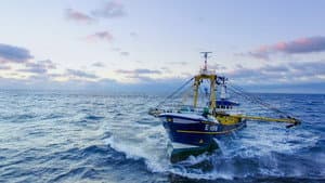Trawlermen: Hunting the Catch — foto 1