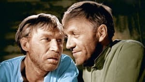 Председатель — foto 2