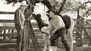 King of the Wild Horses — foto 2