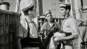 Sailor of the King — foto 8