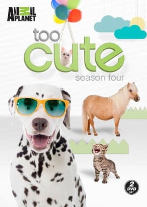 Temporada 4