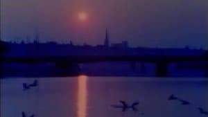 Porträtt: En film om Stockholm — foto 1
