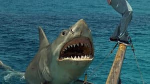 Tiburón 4: La venganza — foto 9