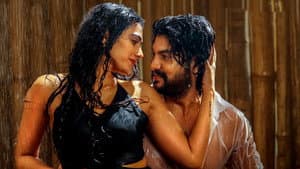 షష్టిపూర్తి — foto 10