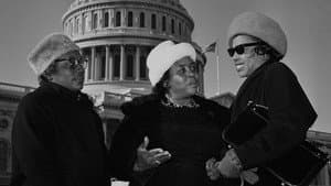 Fannie Lou Hamer’s America — foto 1