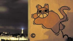 Chats perchés — foto 2