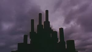 はがね — foto 2