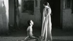 چشمه — foto 1