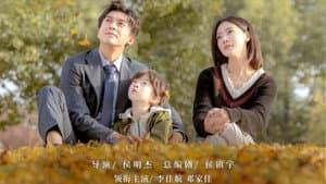 匆匆的青春 — foto 2
