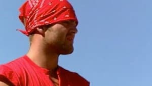 Episodio 14