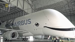 Megastructures: Airbus Beluga XL — foto 6