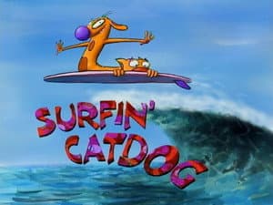 Perro Surfista