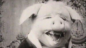 El perfecto cerdo — foto 1