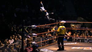The Wrestlers — foto 3