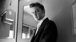 Elvis Presley: El rey del rock and roll — foto 4