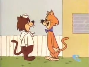 Episodio 29