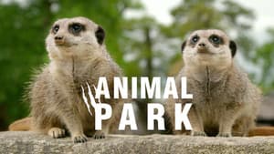Animal Park — foto 4