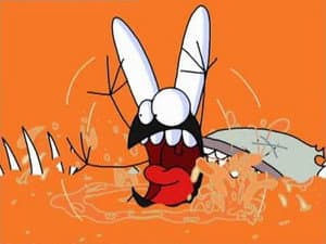 Episodio 48