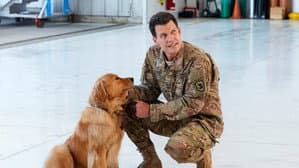 Love and Sunshine — foto 5