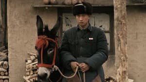 走着瞧 — foto 1