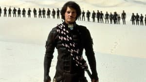 Dunas — foto 3