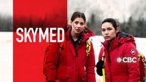 SkyMed — foto 2