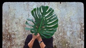 A Volta ao Mundo Quando Tinhas 30 Anos — foto 1