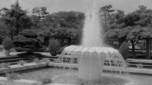공원에서 — foto 1