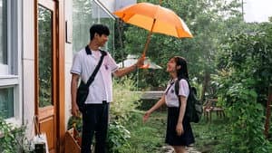 청춘 블라썸 — foto 5