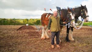 Somerset: Wonder of the West Country — foto 2